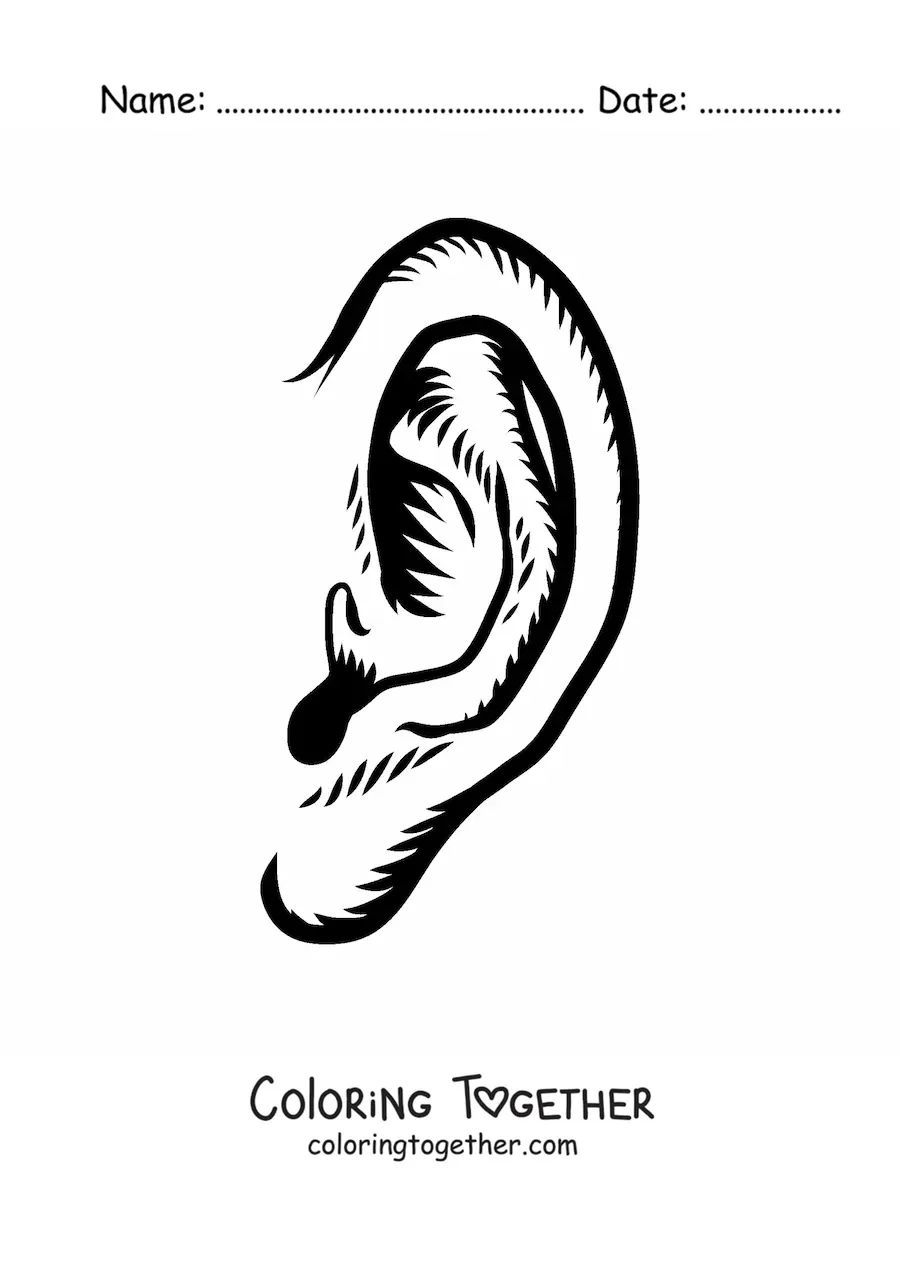 Coloring page of a human ear