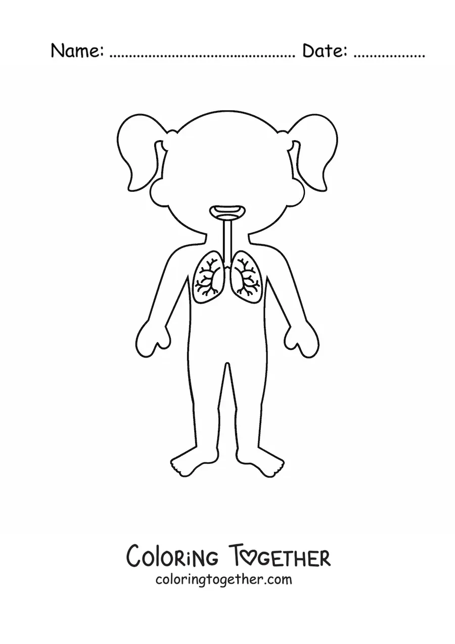 Coloring page of where the lungs are located in the silhouette of a girl