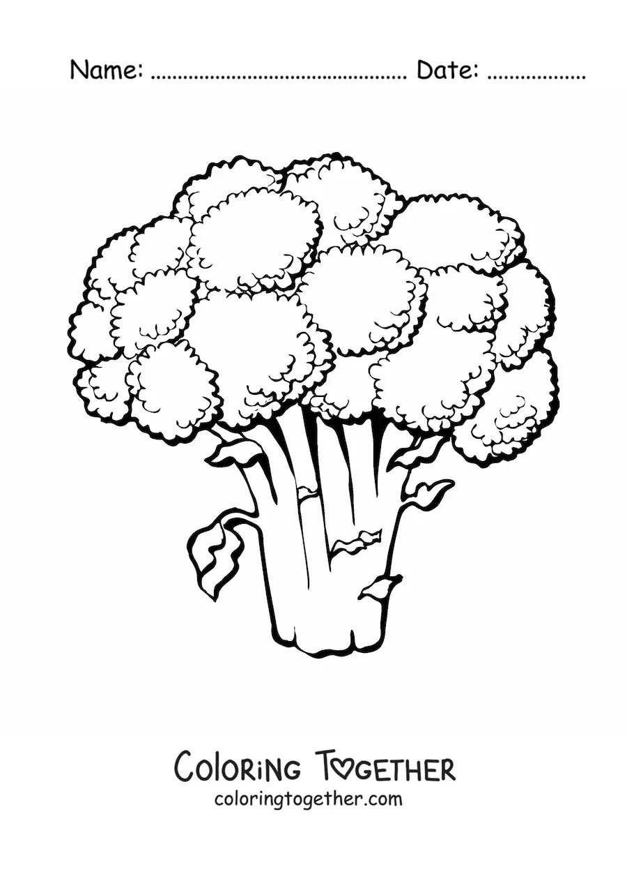 Coloring page of a broccoli