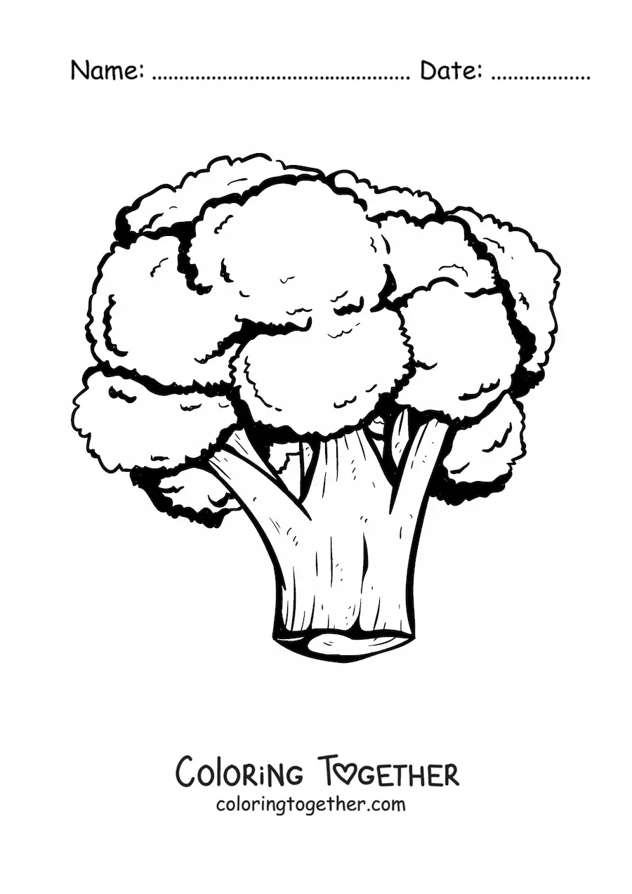 Coloring page of a realistic broccoli