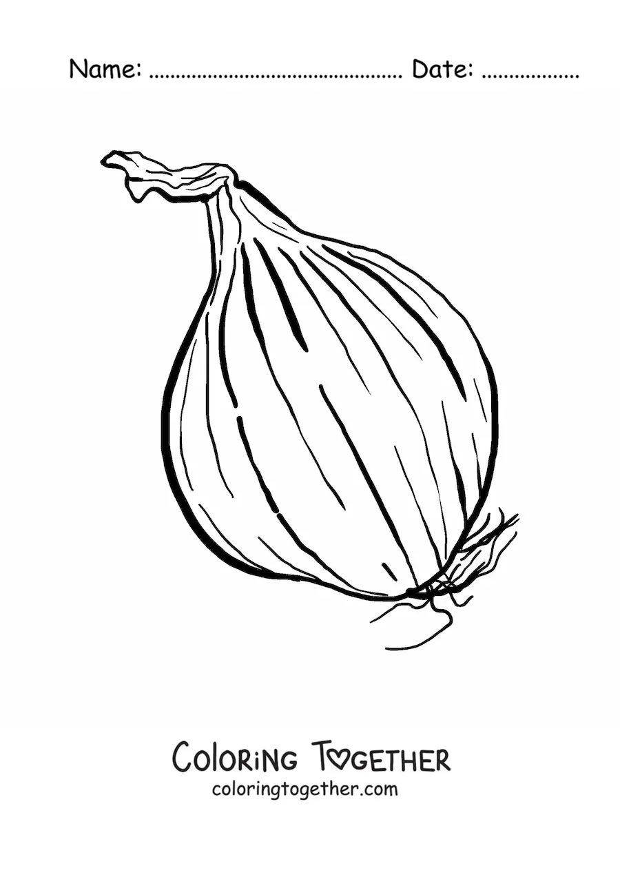 Coloring page of a large onion