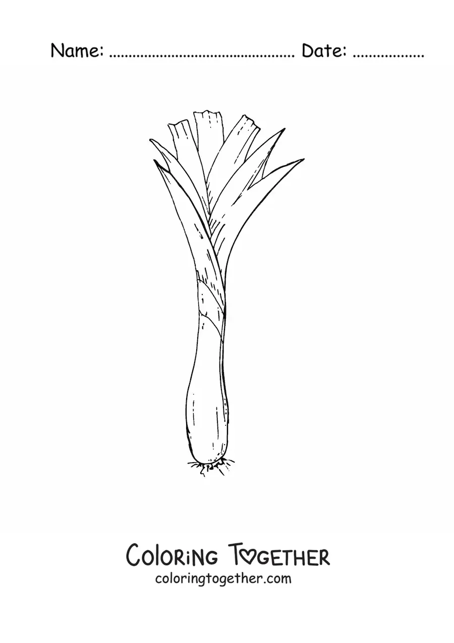 Coloring page of a long green onion or scallion