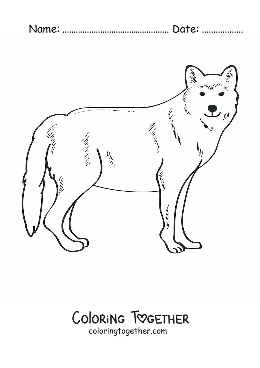 Coloring page of a wild wolf