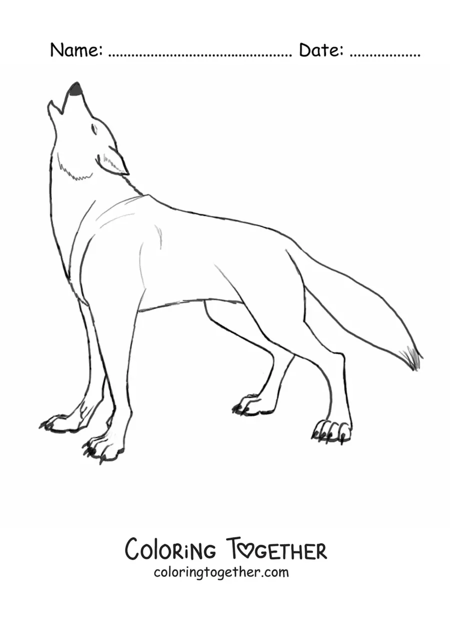 Coloring page of a wild wolf howling