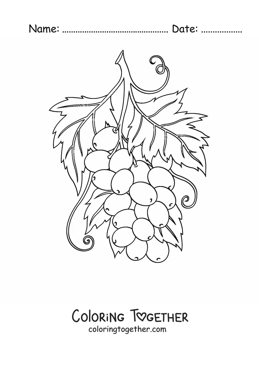 Coloring page of a bunch of grapes with leaves