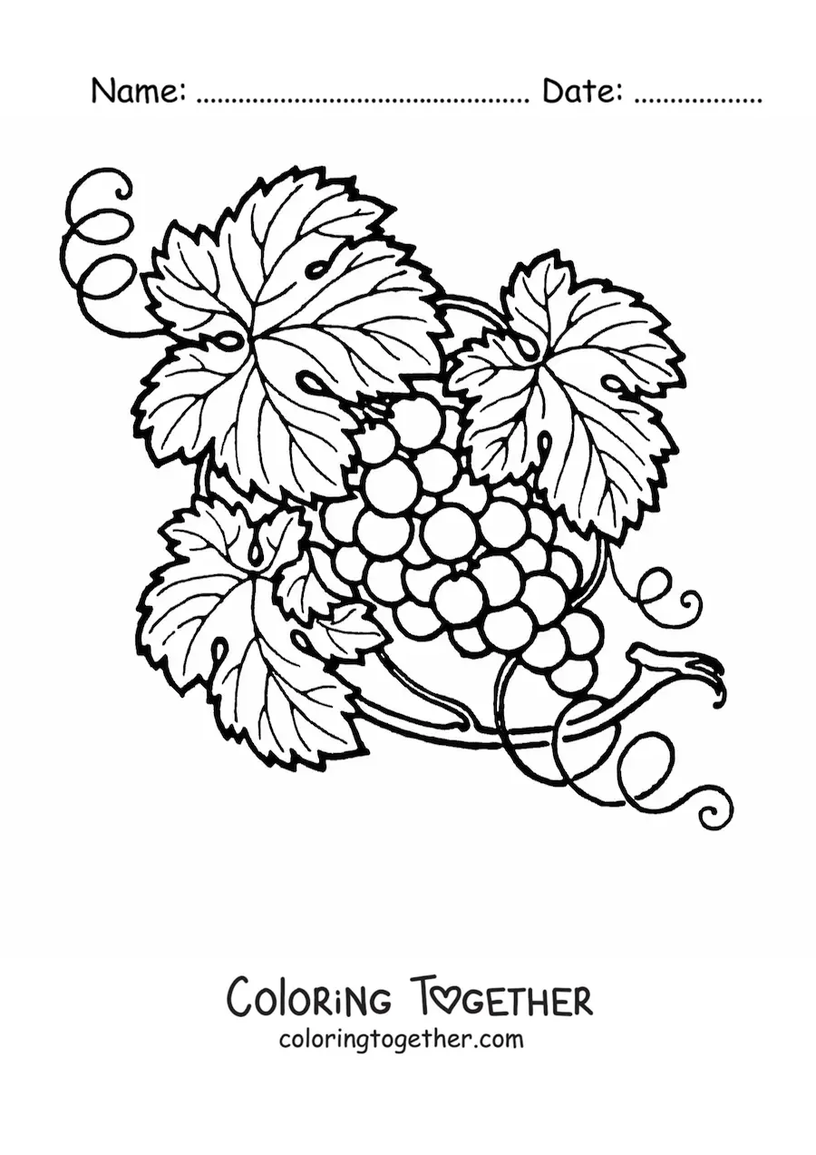 Coloring page of grapes on the vine