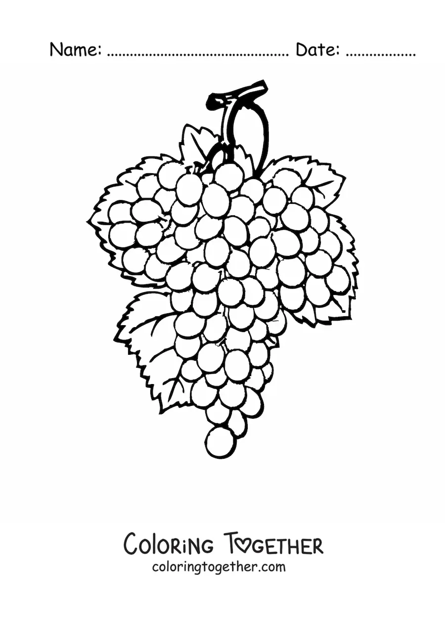 Coloring page of a bunch of grapes with three leaves