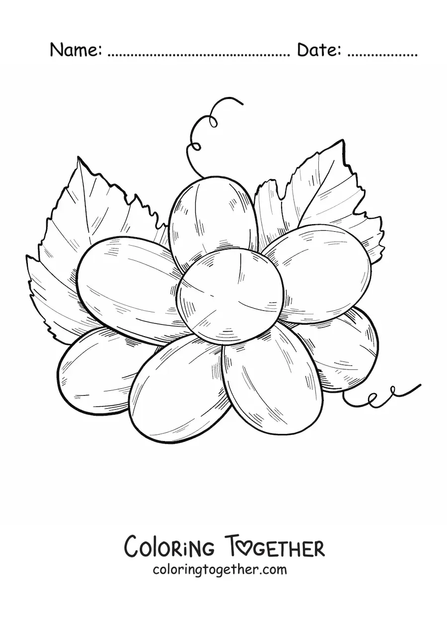 Coloring page of a bunch of grapes seen from below