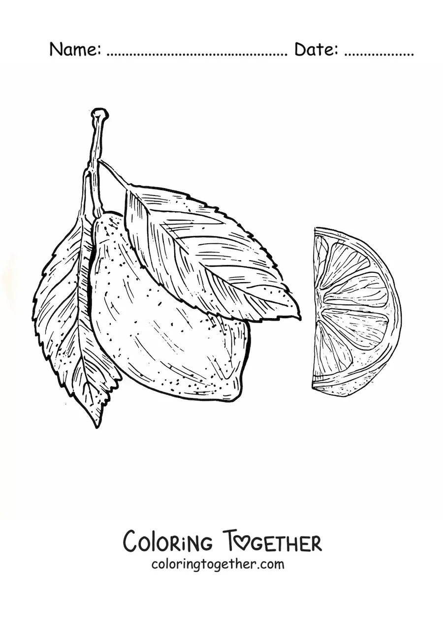 Coloring page of a whole lemon and a realistic piece of lemon