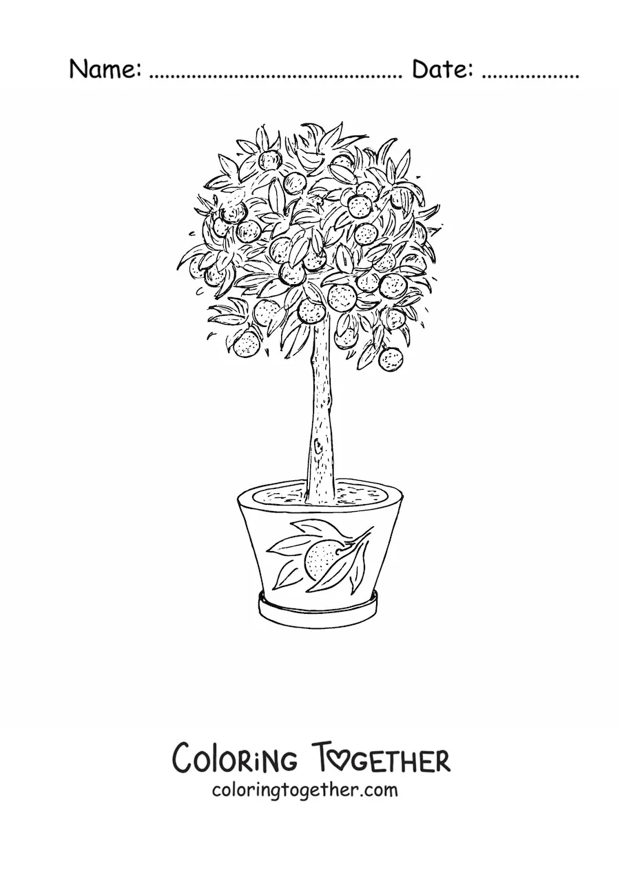 Coloring page of a lemon tree in a pot