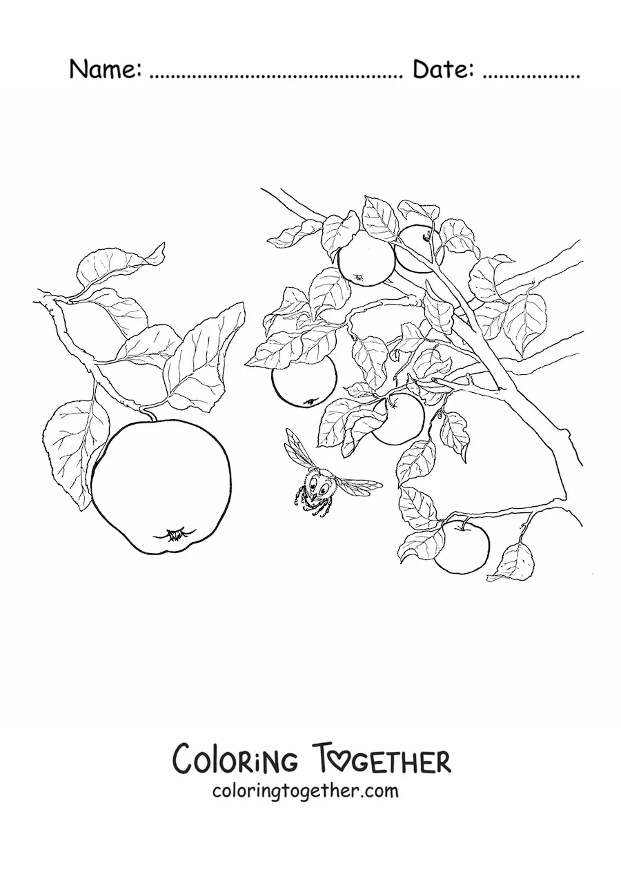 Coloring page of an apple tree with apples and bees flying around