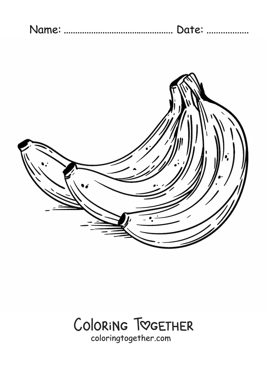 Coloring page of a realistic bunch of bananas