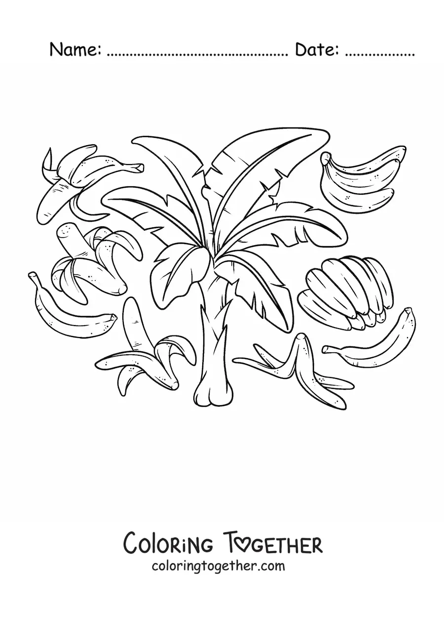 Coloring page of several bananas and a banana plant