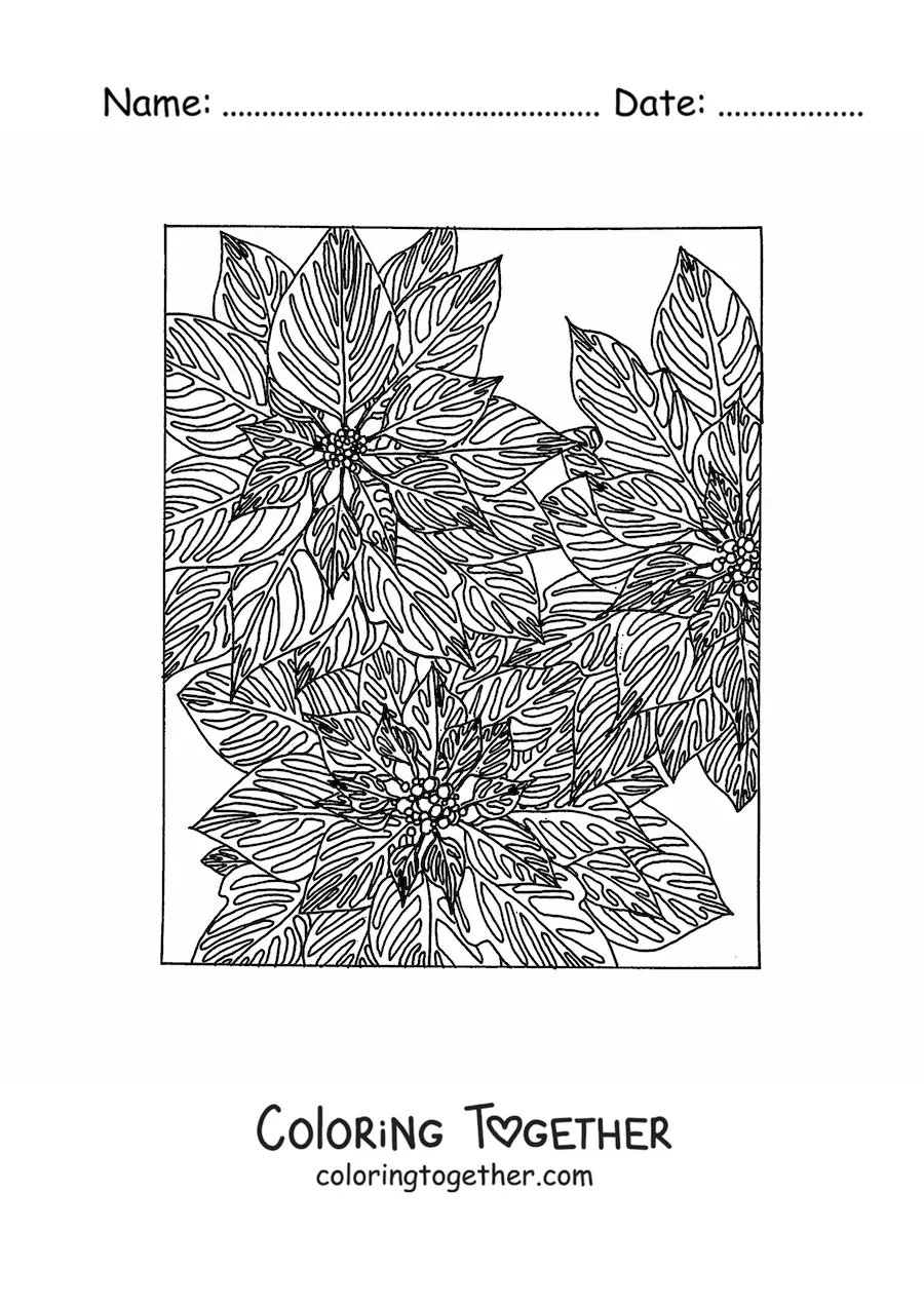 Coloring page of Christmas flowers