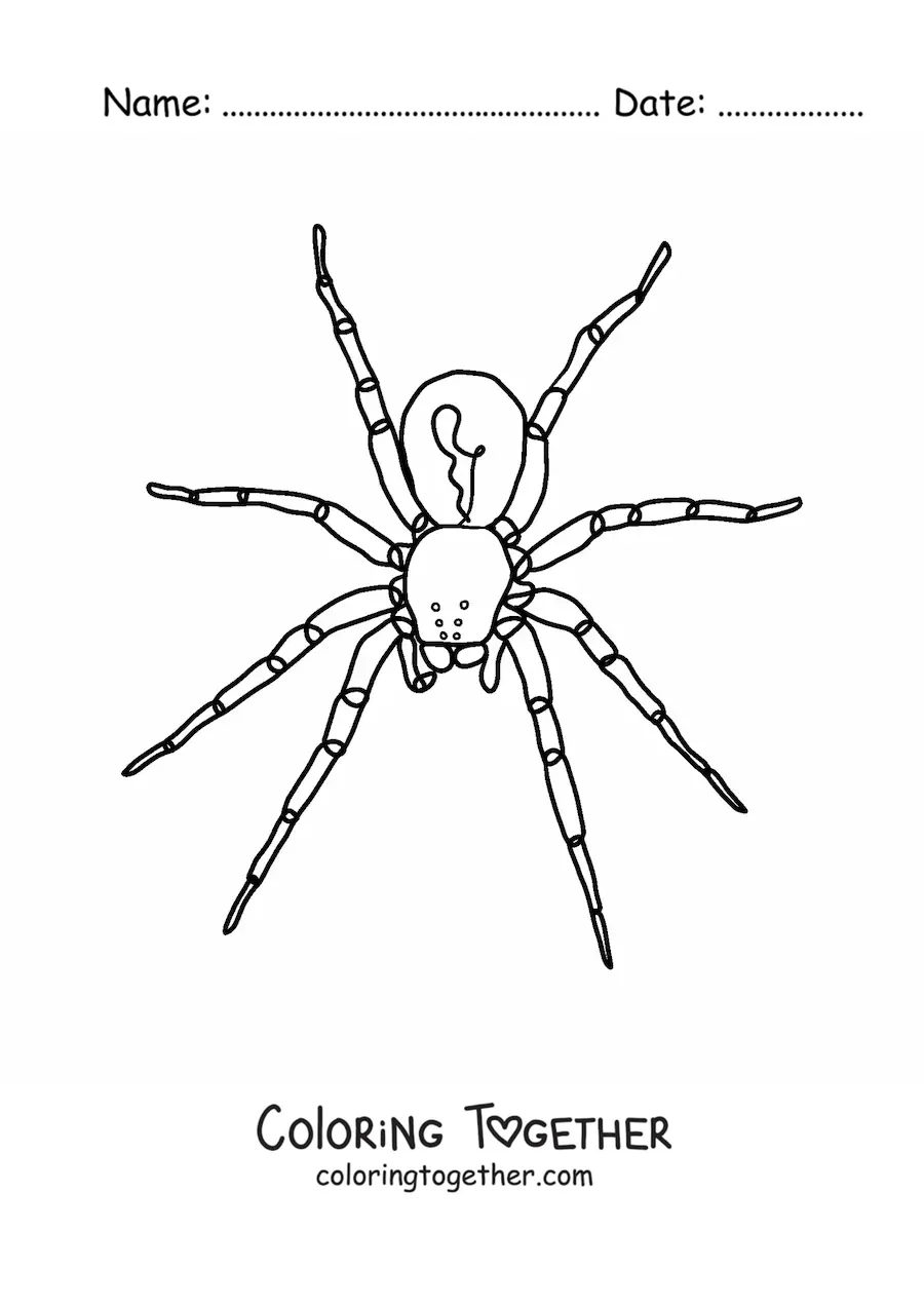 Coloring page of an easy Halloween spider