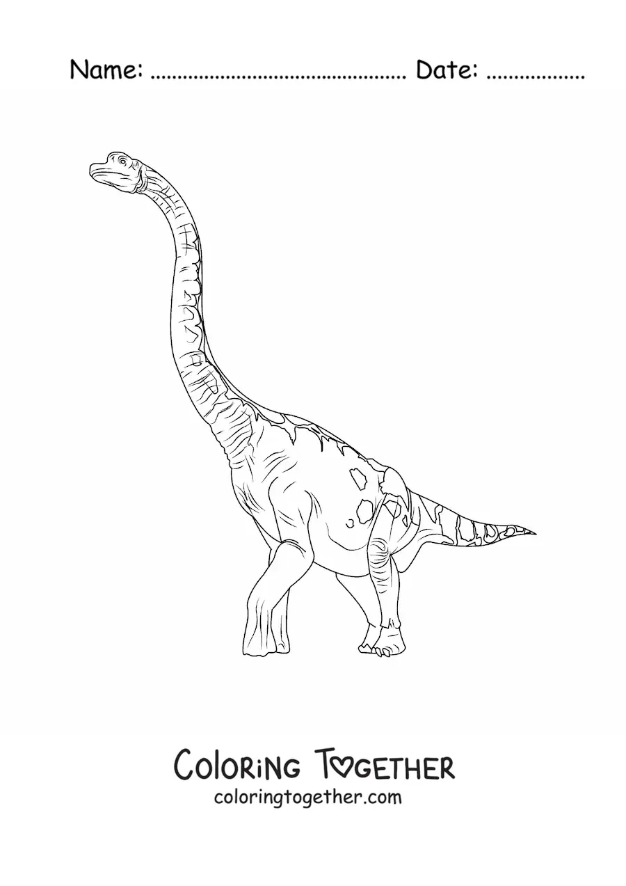 Coloring page of a giant herbivorous Brachiosaurus