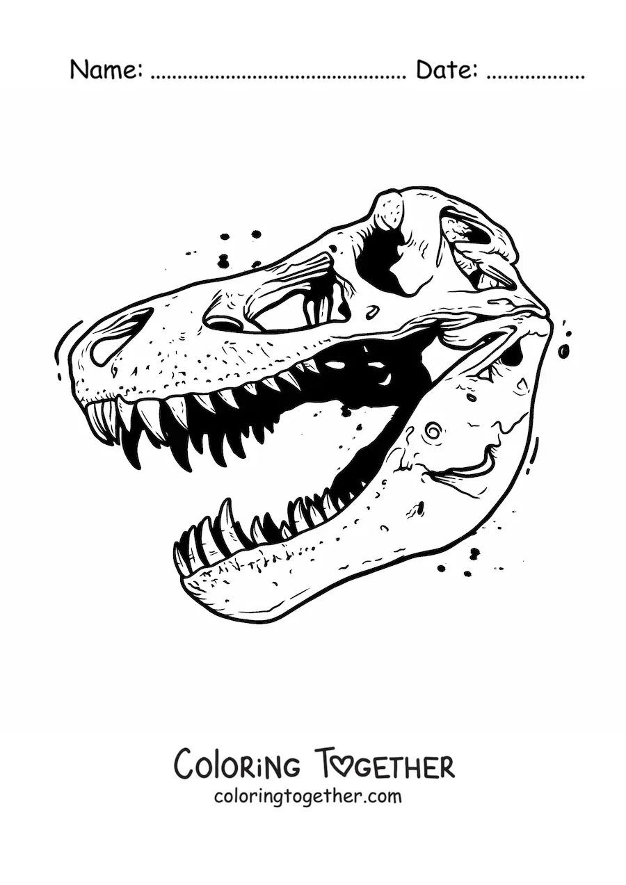 Coloring page of a skull of a Tyrannosaurus rex