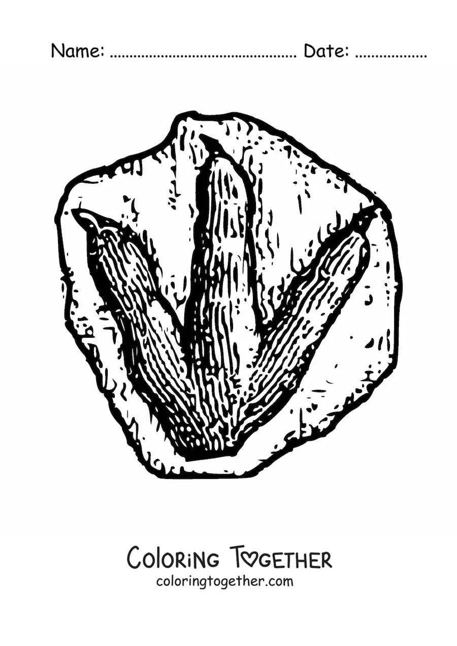Coloring page of a dinosaur footprint