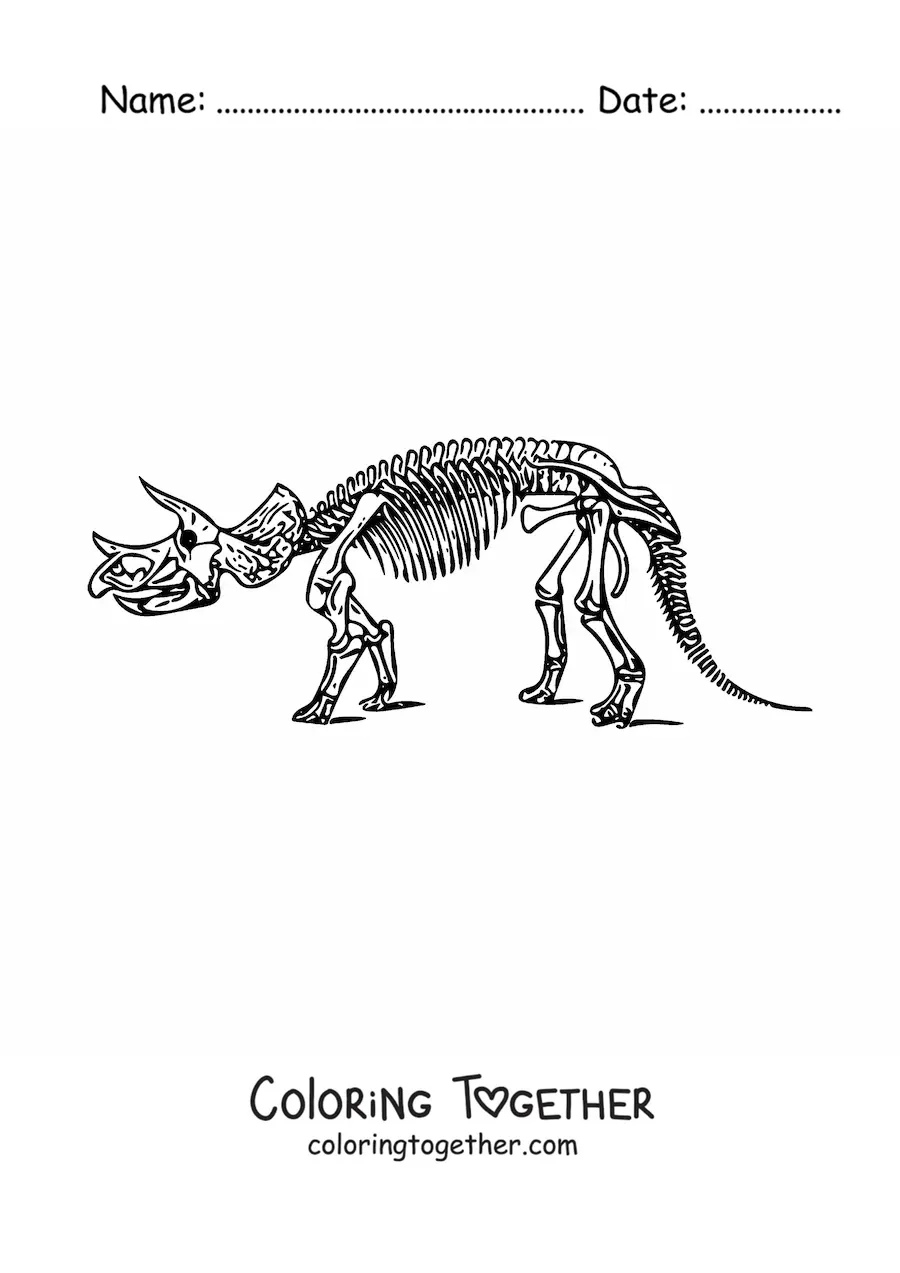 Coloring page of a skeleton of a triceratops