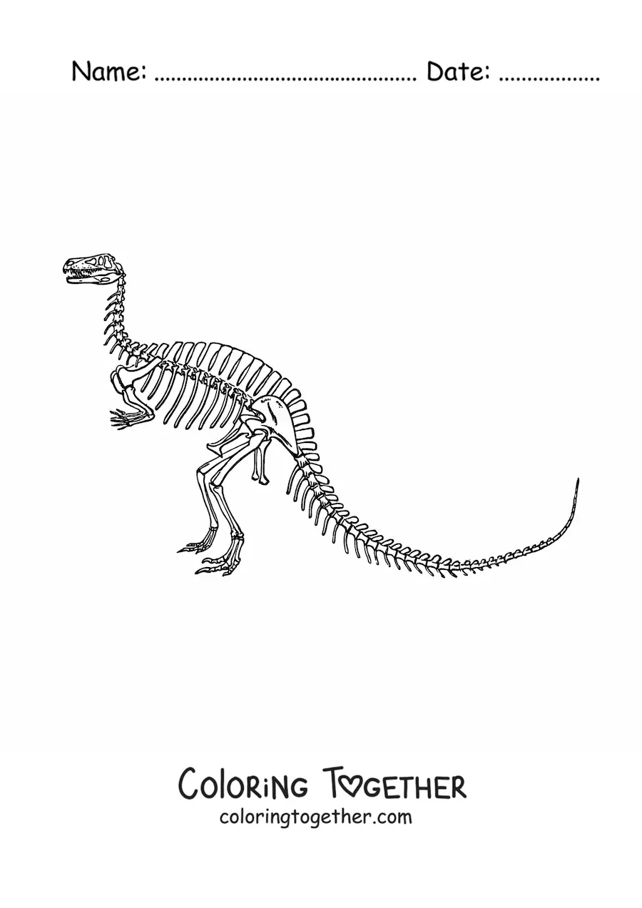 Coloring page of a skeleton of a dinosaur