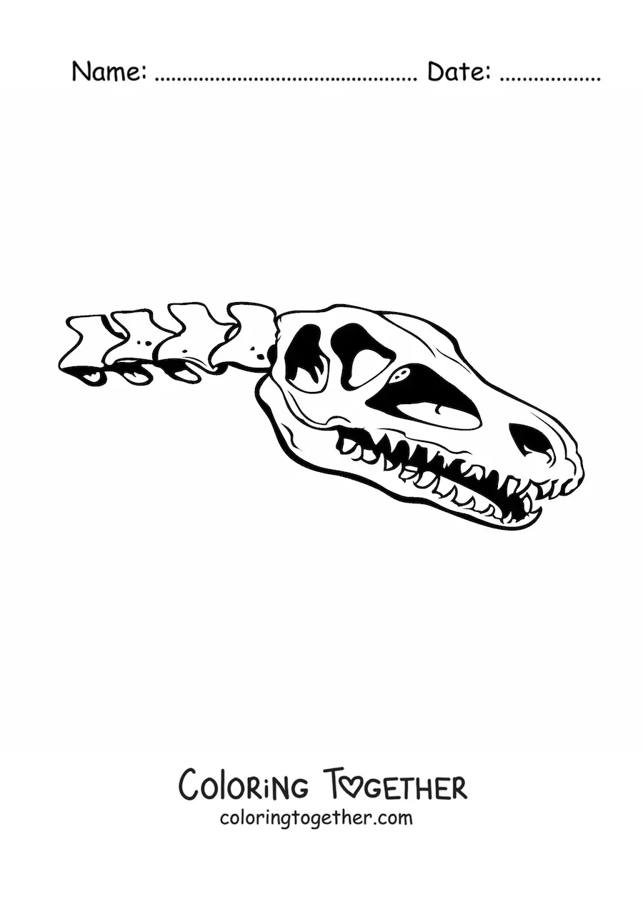 Coloring page of a skull of a dinosaur