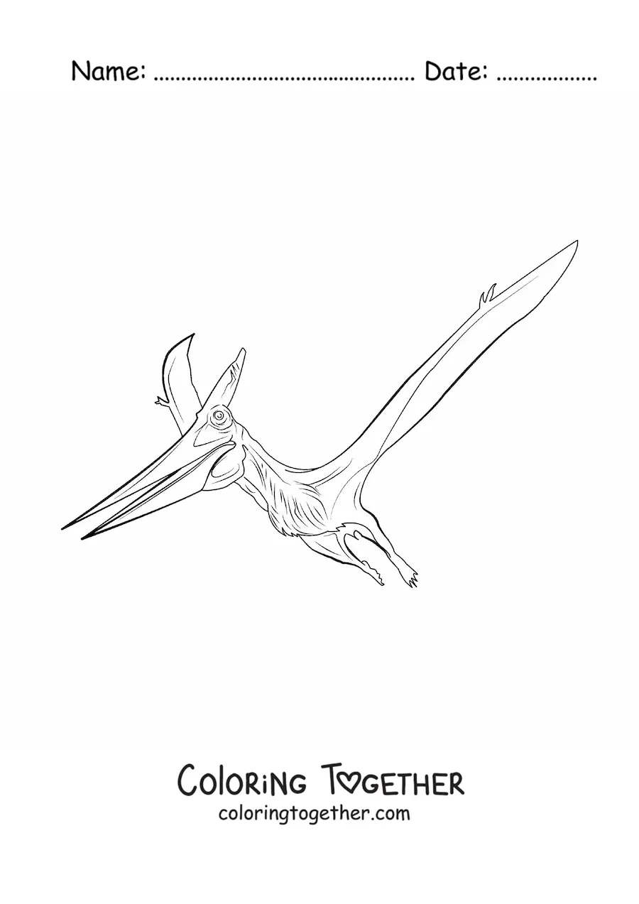 Coloring page of a realistic pterodactyl