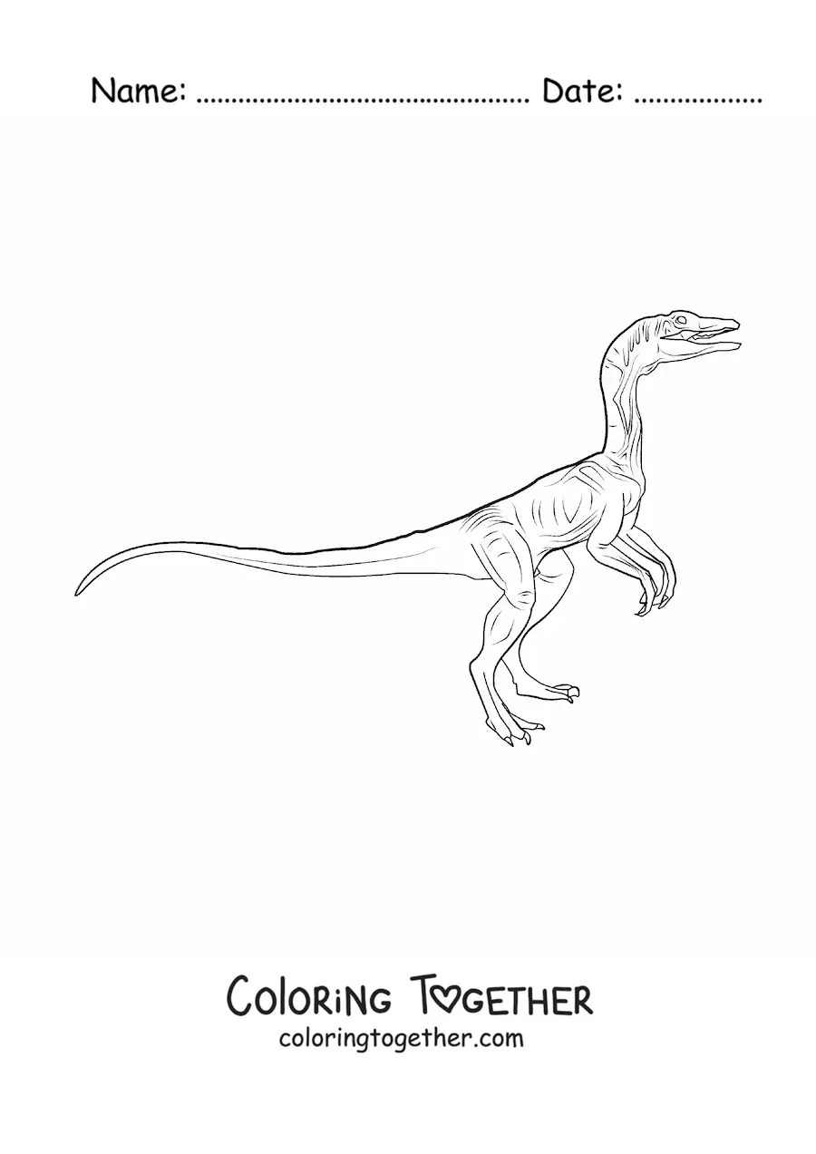 Coloring page of a small realistic carnivorous dinosaur