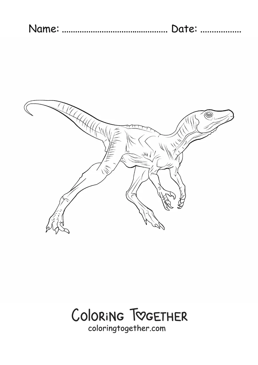 Coloring page of a small carnivorous dinosaur