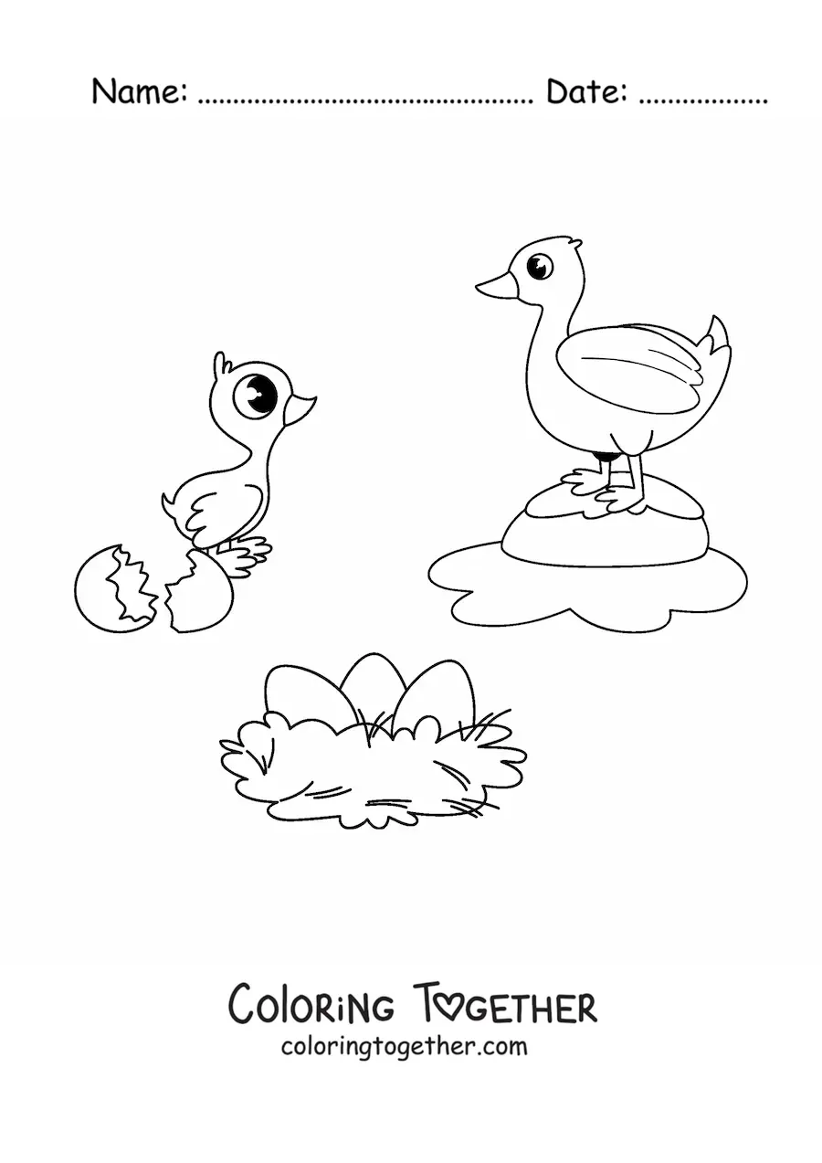 Coloring page of the kawaii life cycle of birds