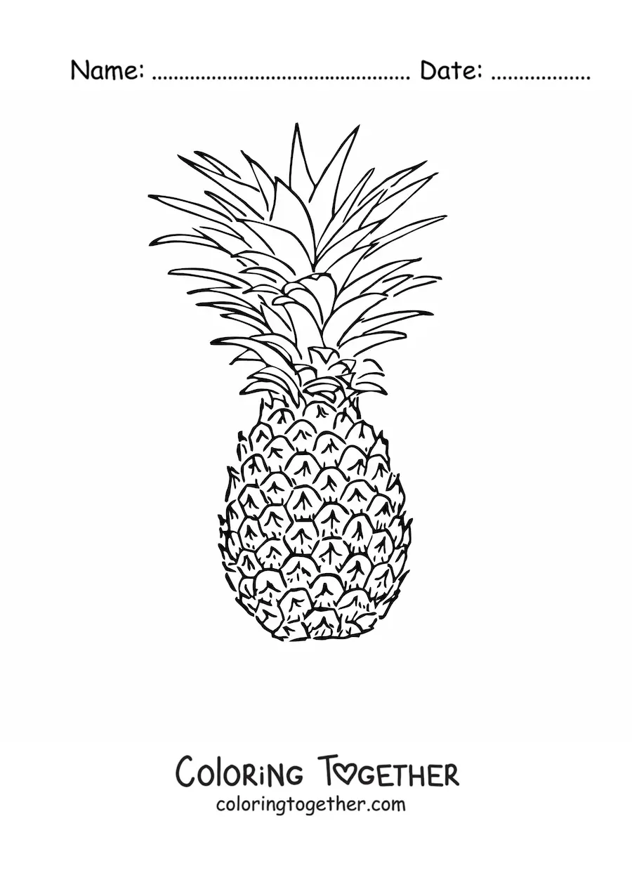 Coloring page of a pineapple