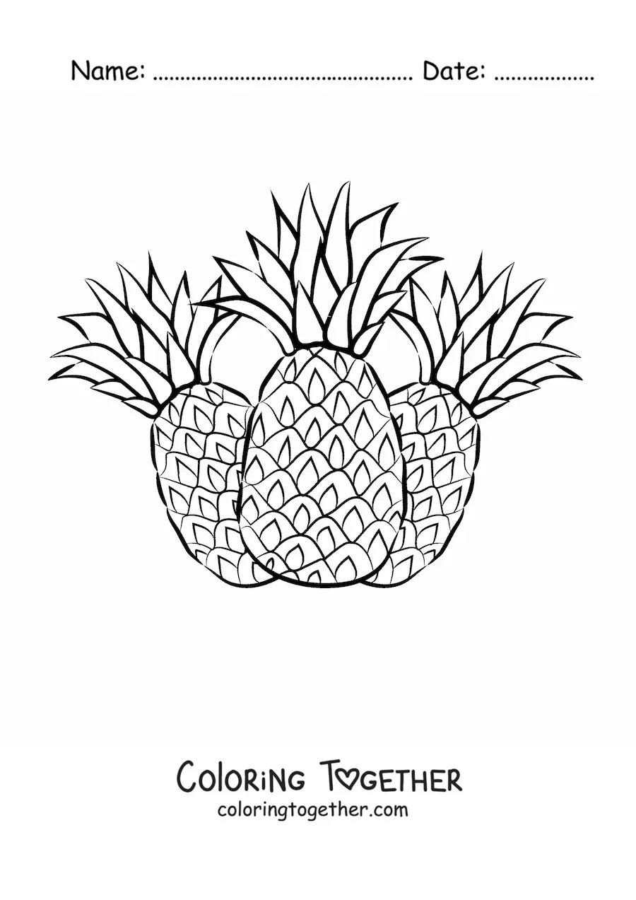 Coloring page of three pineapples