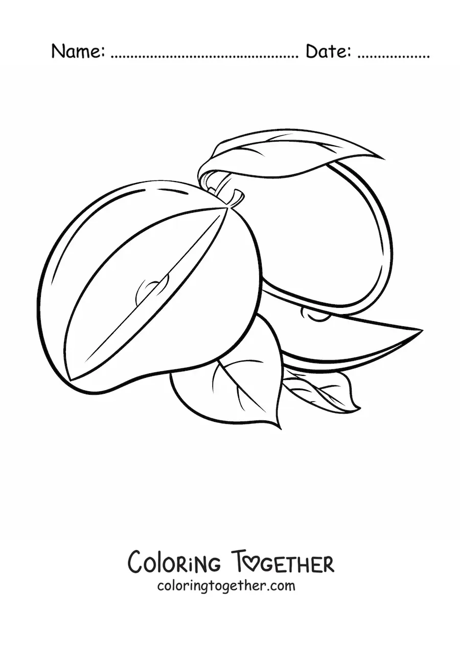 Coloring page of a sliced mango