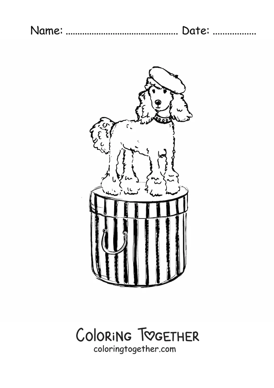 Coloring page of a poodle dog
