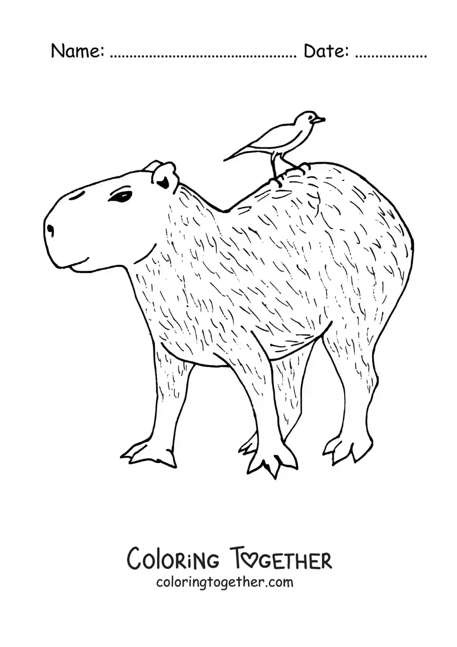 Coloring page of an animated capybara