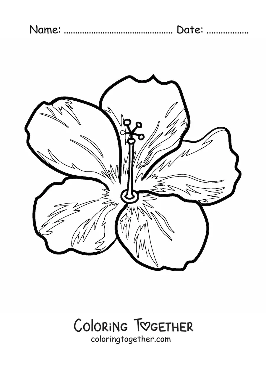 Coloring page of a large Hawaiian flower