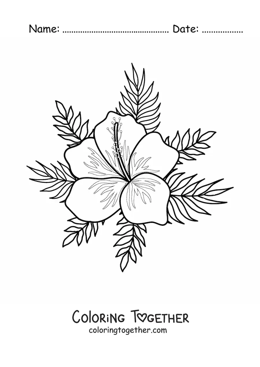 Coloring page of an easy Hawaiian flower with leaves