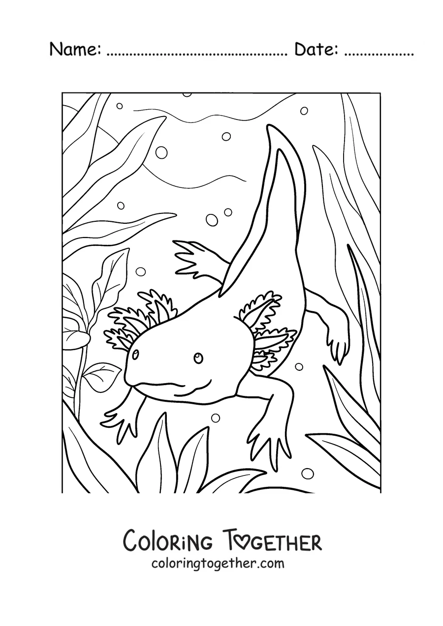Coloring page of an adult axolotl swimming among tall seaweed