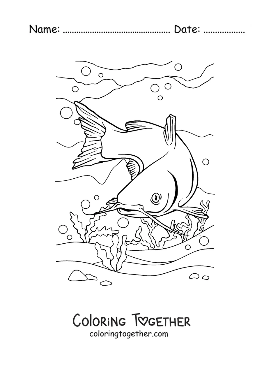 Coloring page of a catfish diving to the bottom