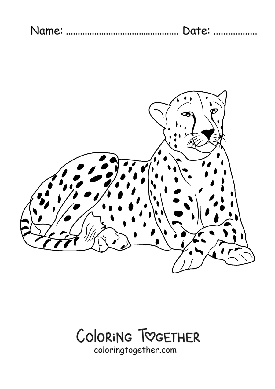Coloring page of a cheetah lying down and resting
