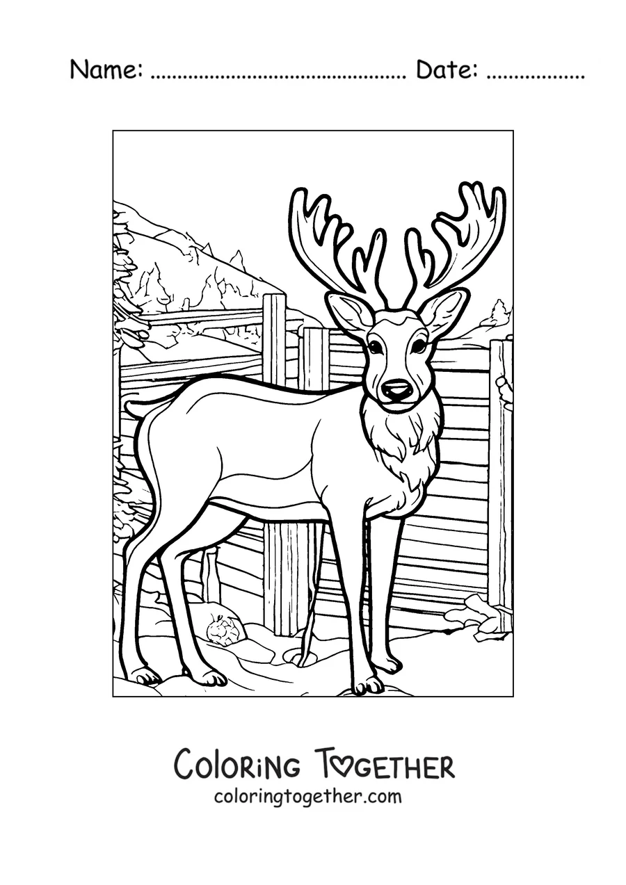 Coloring page of a deer with big antlers by a fence