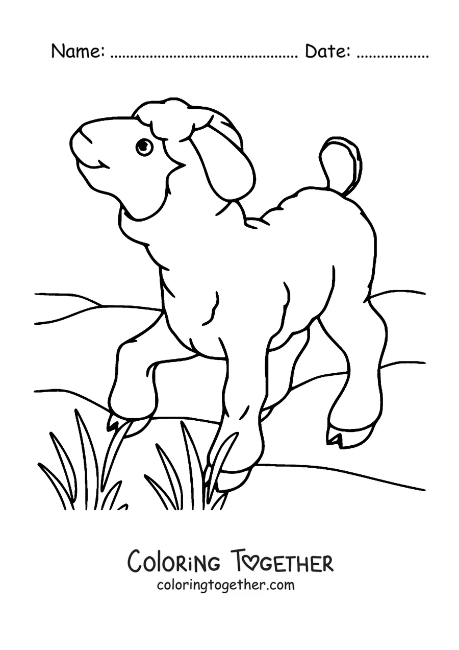 Coloring page of lamb on the grass under the sun