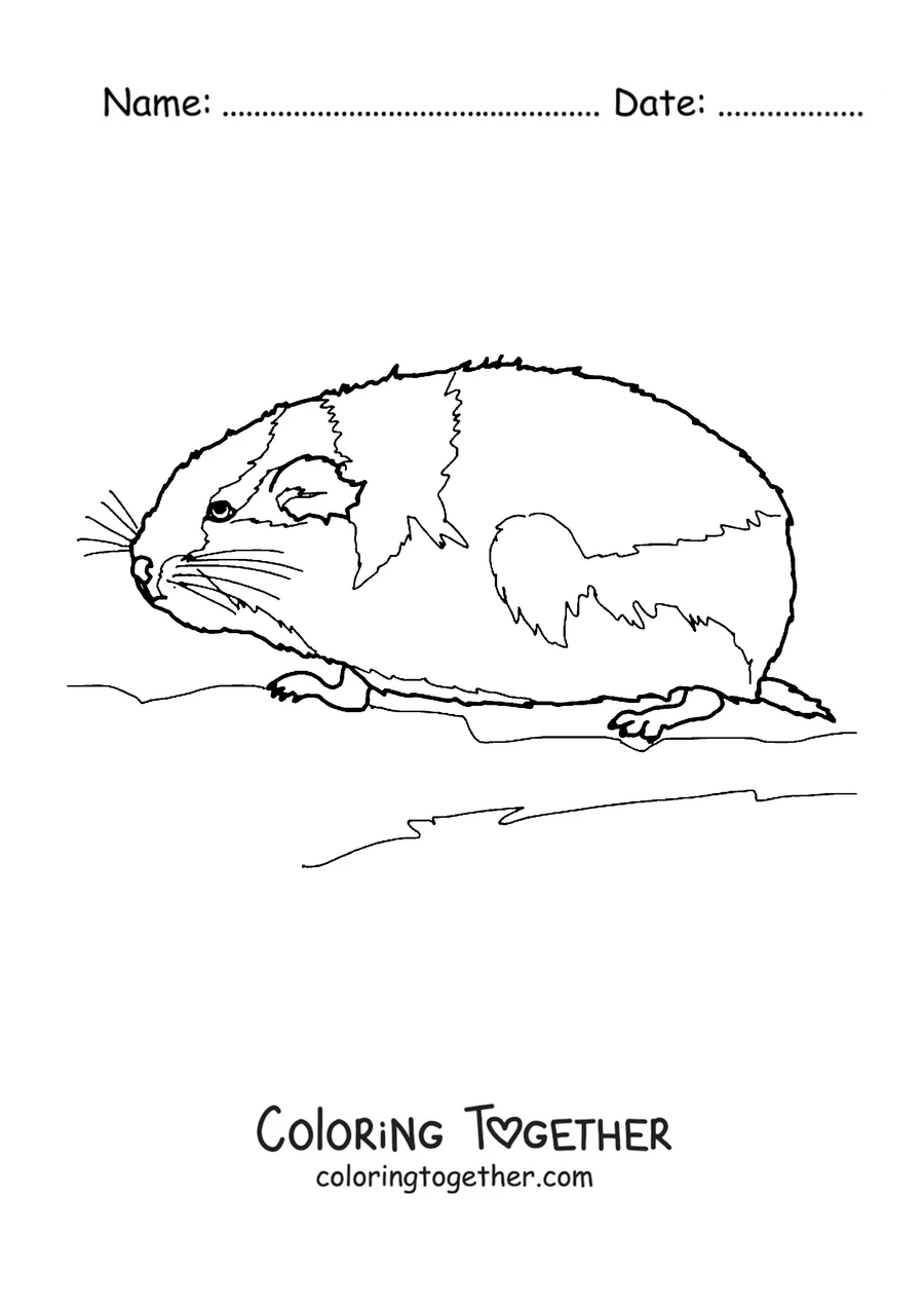 Coloring page of a lemming resting in profile