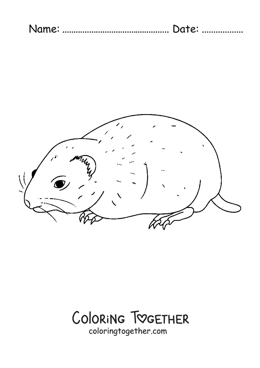 Coloring page of a lemming walking in profile