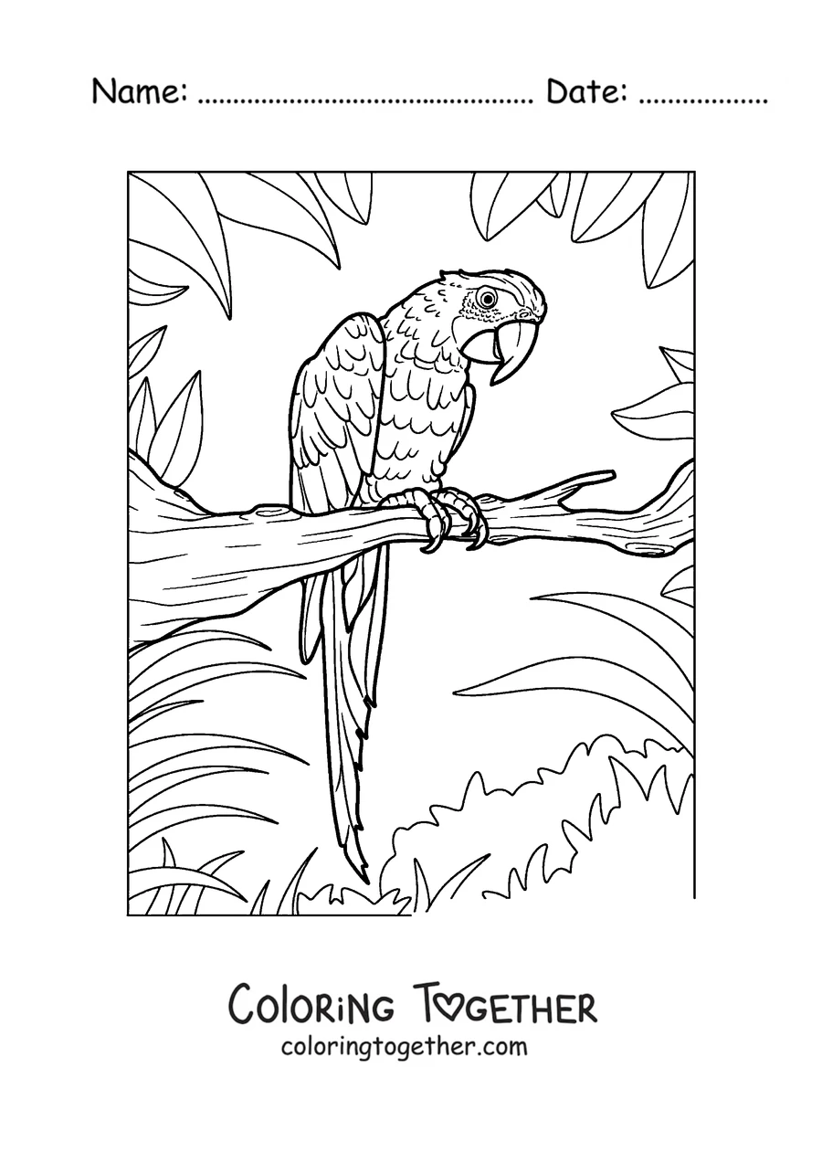 Coloring page of a detailed parrot perched on a leafy branch