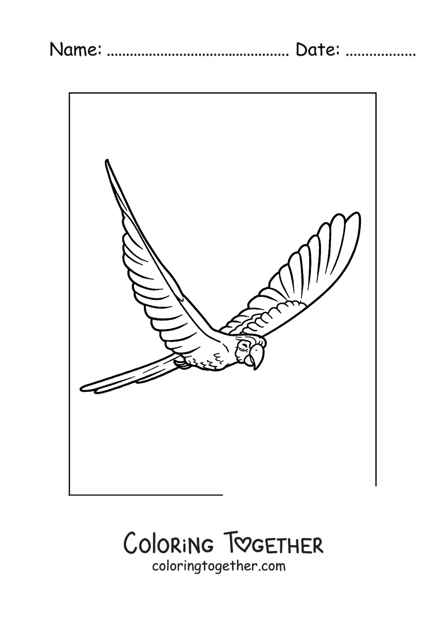 Coloring page of a hyacinth macaw flying with open wings