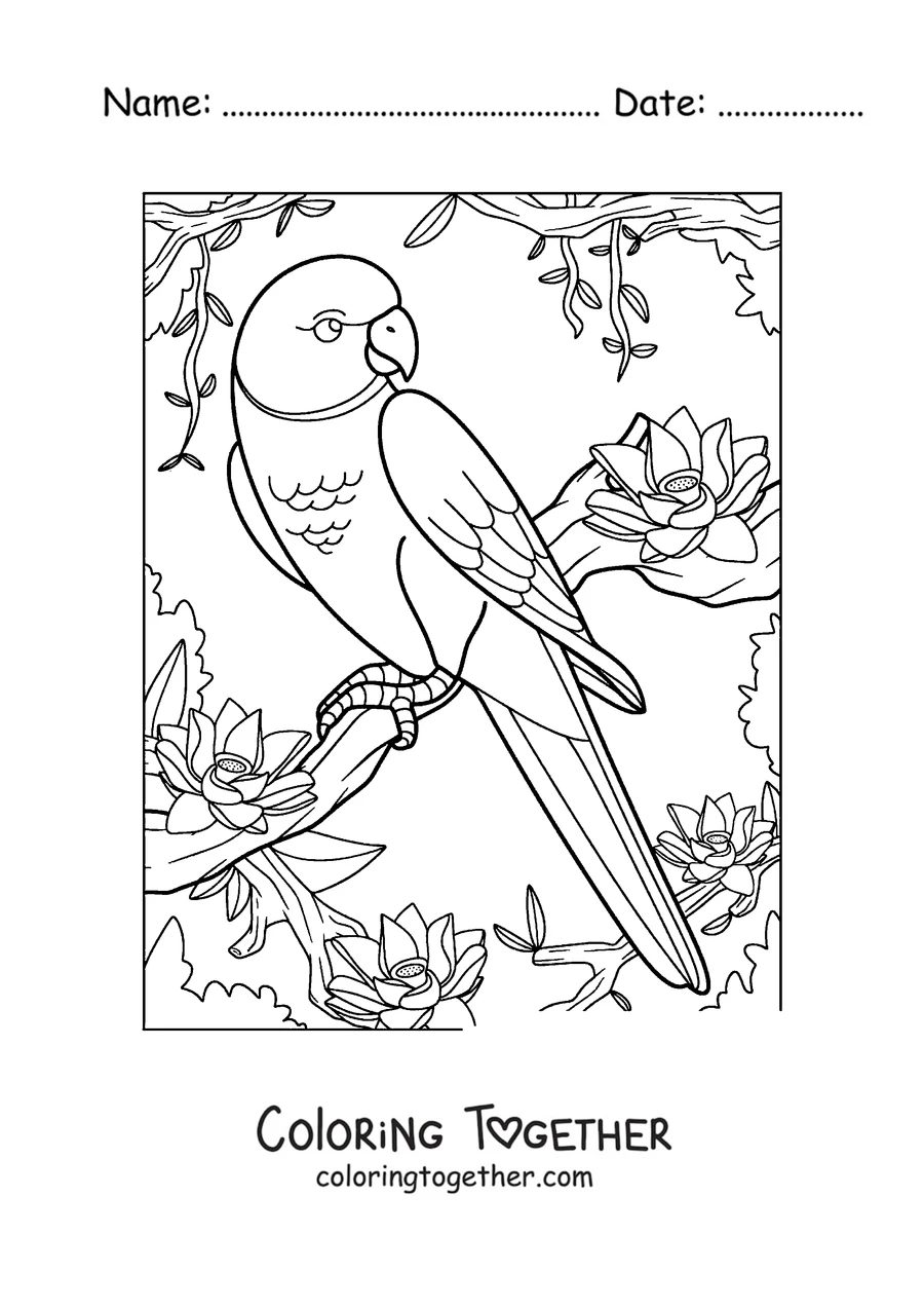 Coloring page of a long-tailed parrot perched on a tree