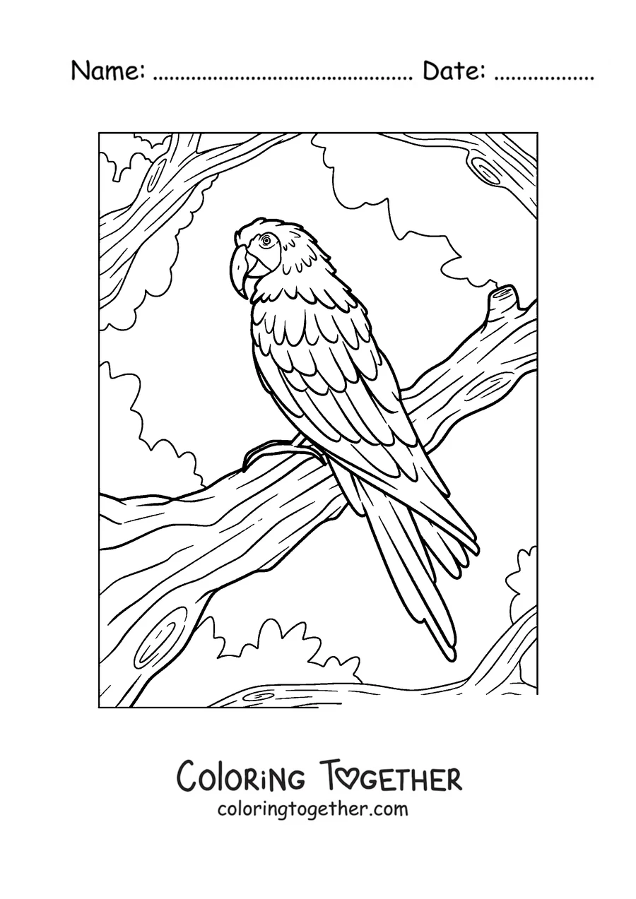 Coloring page of a macaw perched on a branch
