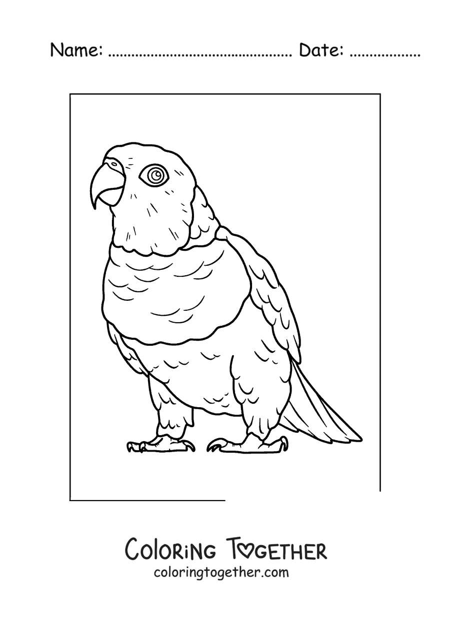 Coloring page of a plump parrot standing in full body