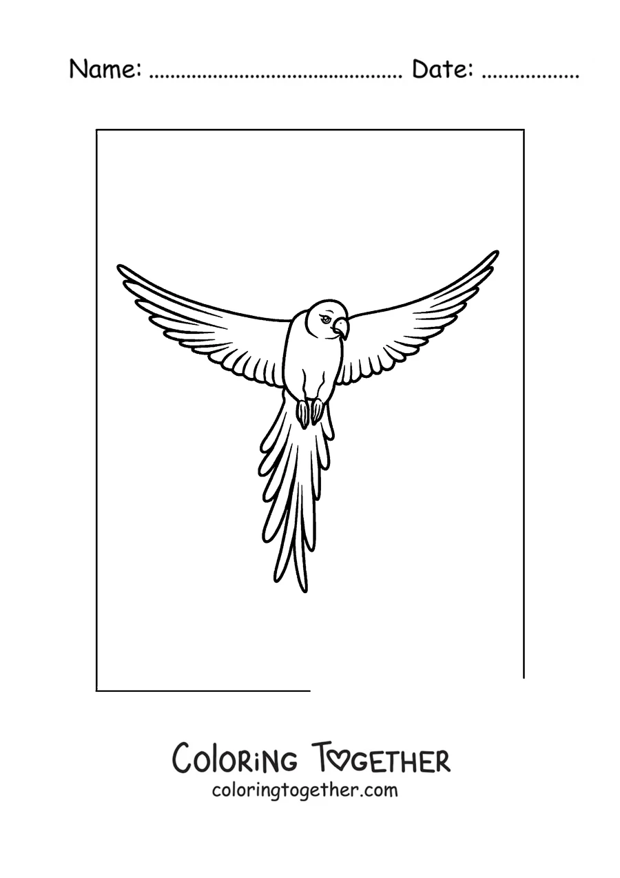 Coloring page of a simple outline parrot flying