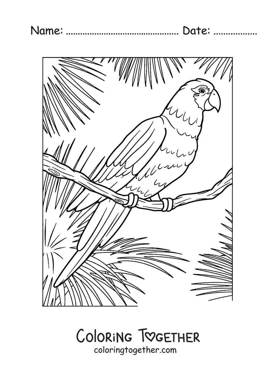 Coloring page of a parrot perched among tropical leaves